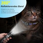 collier anti-étranglement chat