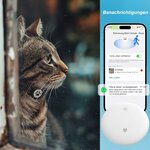 collier chat avec suivi
