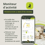 Traceur chat Kippy avec alertes instantanées et géofence