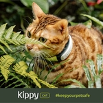 Collier GPS Kippy vert pour chat suivi santé et activité