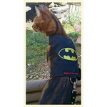 Accessoire chat confortable et stylé Mynwood