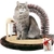 Brosse toilettage chat