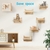 Ensemble mural MIUZMORE en pin installé sur un mur de salon