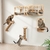 mur d’escalade robuste LitaiL pour grands chats actifs