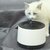 Pompe silencieuse basse consommation pour chat