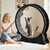 Grande roue pour chat WUDLEP 100 cm noire vue d’ensemble