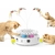 Chaton actif interagissant avec jouet automatique Potaroma