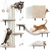 mur d’exercice et observation pour chat domestique