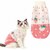 chaton portant un pull hiver design doux