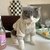 Pyjama chaud luxe chat deux pattes confort polaire fine hiver.