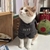 accessoire luxe chat body molleton confortable gris élégant