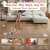 Accessoire stimulation mentale chat H1K3 obstacles DIY parcours luxe.