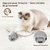 Jouet interactif chat souris peluche douce résistante Morsures griffures.