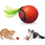 Jouet interactif chat intérieur balle 43mm stable exercice instinct chasseur.