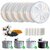 Kit 6 filtres FEELNEEDY compatible FN-W08 fontaine chat premium.