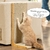 Griffoir chat grand format, effet bois, usage intérieur raffiné.