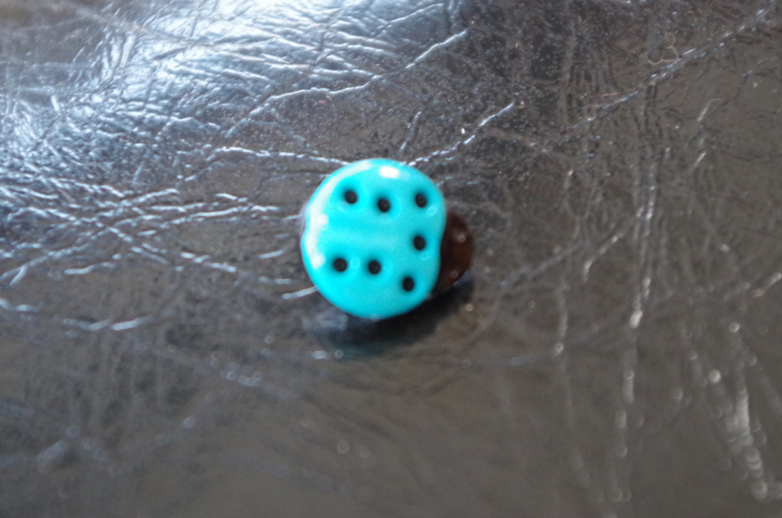60364 coccinnelle