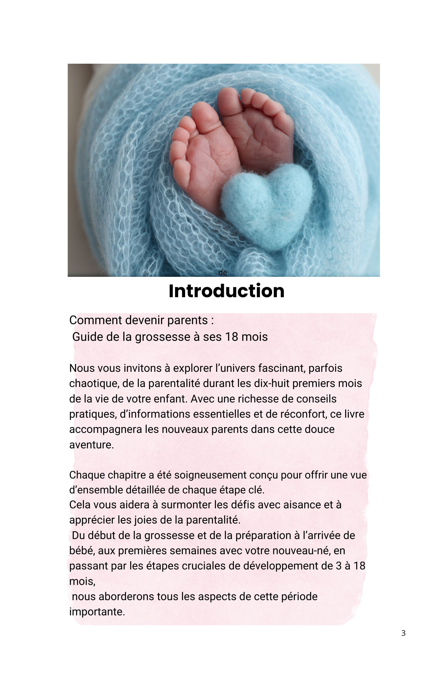 comment devenir parents (1554 x 2346 px) (6 x 9 po) (1554 x 2346 px) (1)