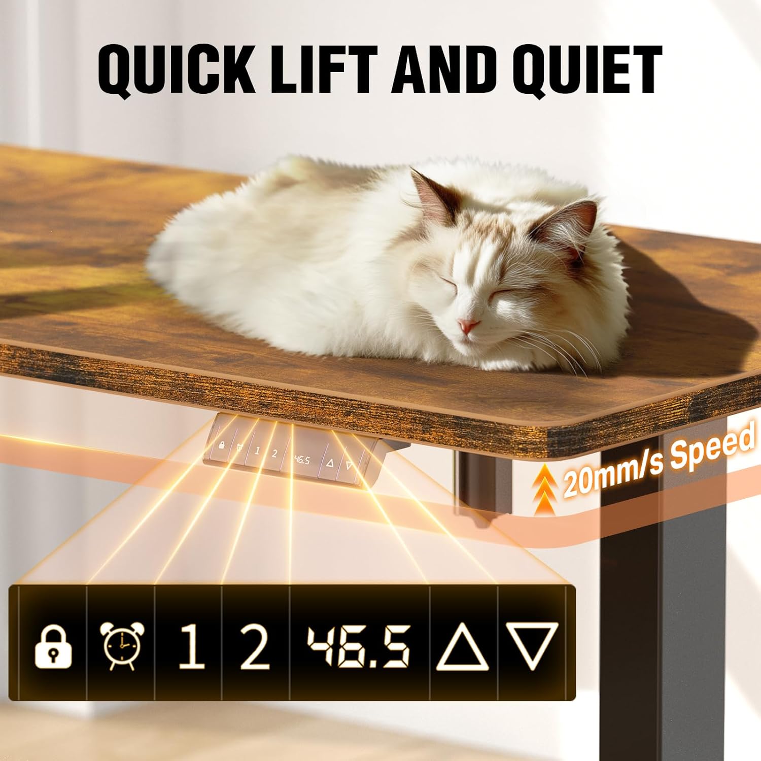 71AL5BpkvNL._AC_SL1500_