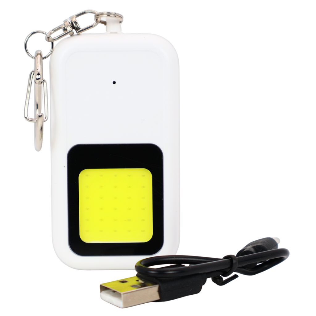 Alarme sonore porte-clé 130db AlertShock avec cable usb