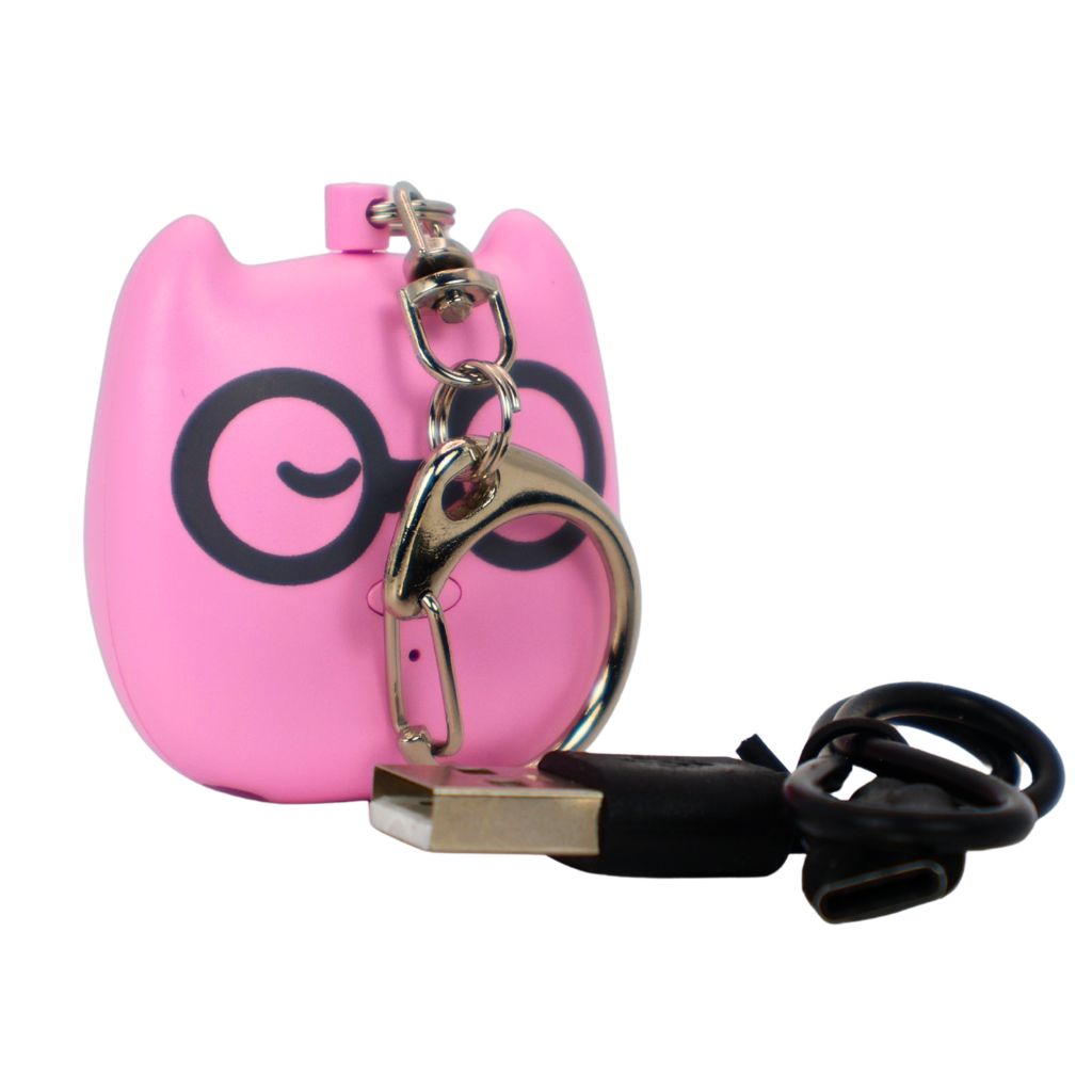 Alarme anti gression enfant rechargeable USB avec bouton SOS et  lampe