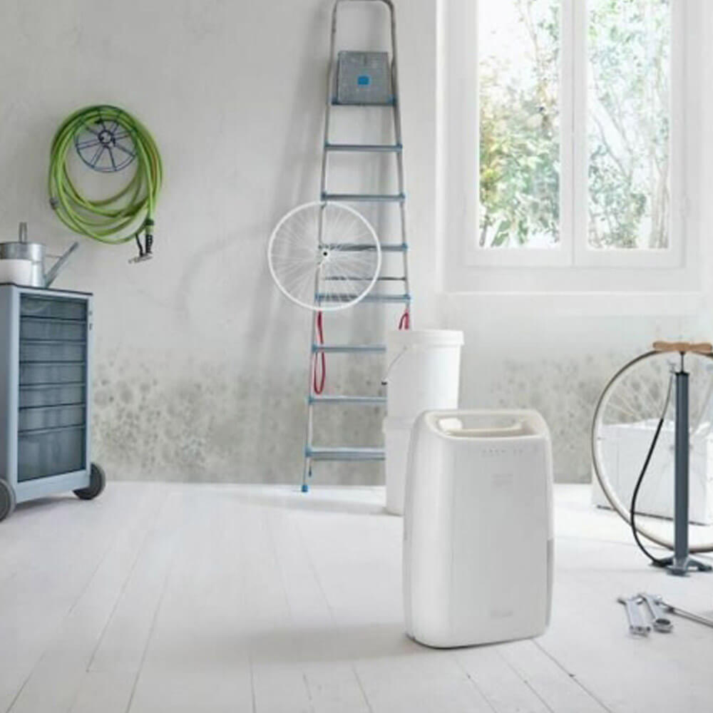 Déshumidificateur DeLonghi dex210sf