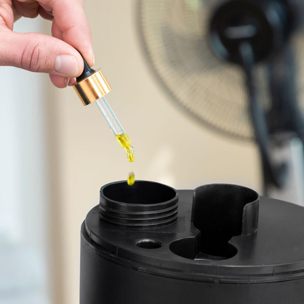 Ventilateur brumisateur sur pied Innovagoods
