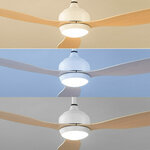 Ventilateur bois avec LED Innovagoods