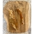 image1 (10)