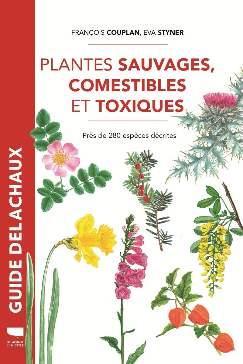 71eqDuogIxL._SL1197_