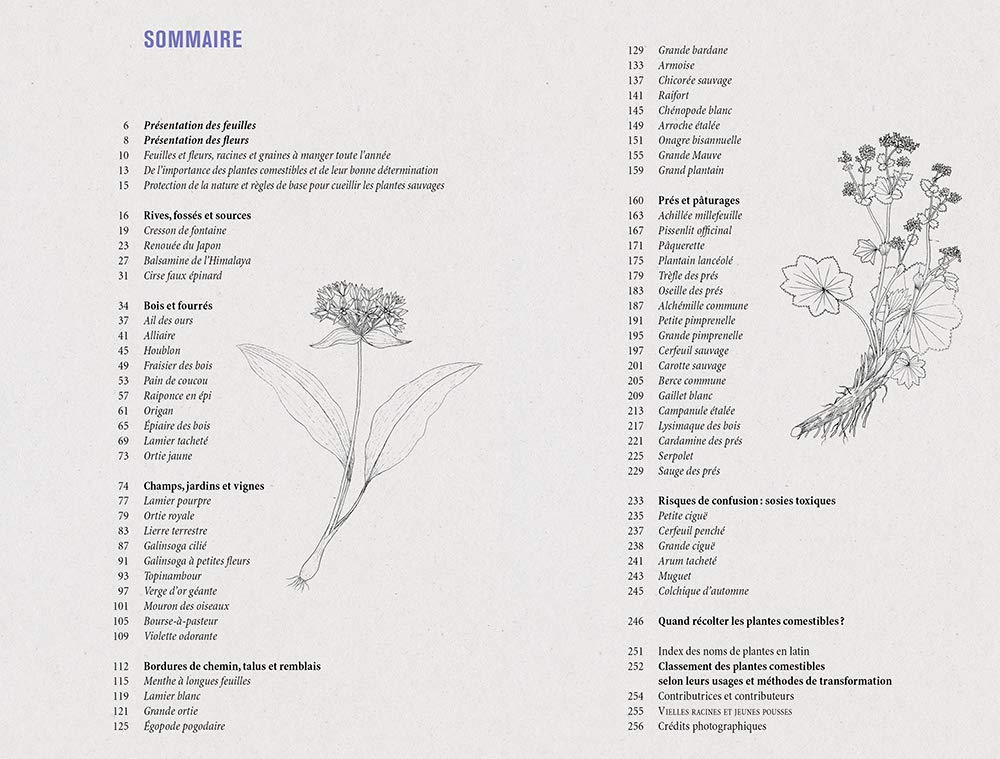 61ZBaryhBYL._SL1000_