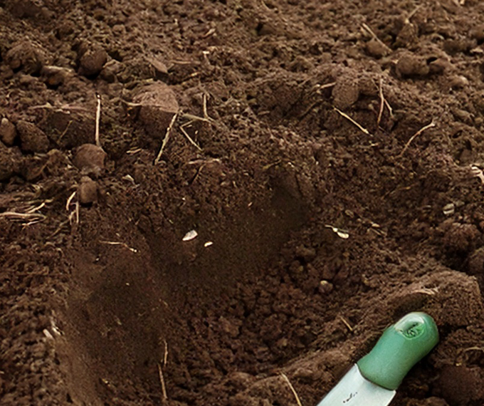 transformation du potager etape 2