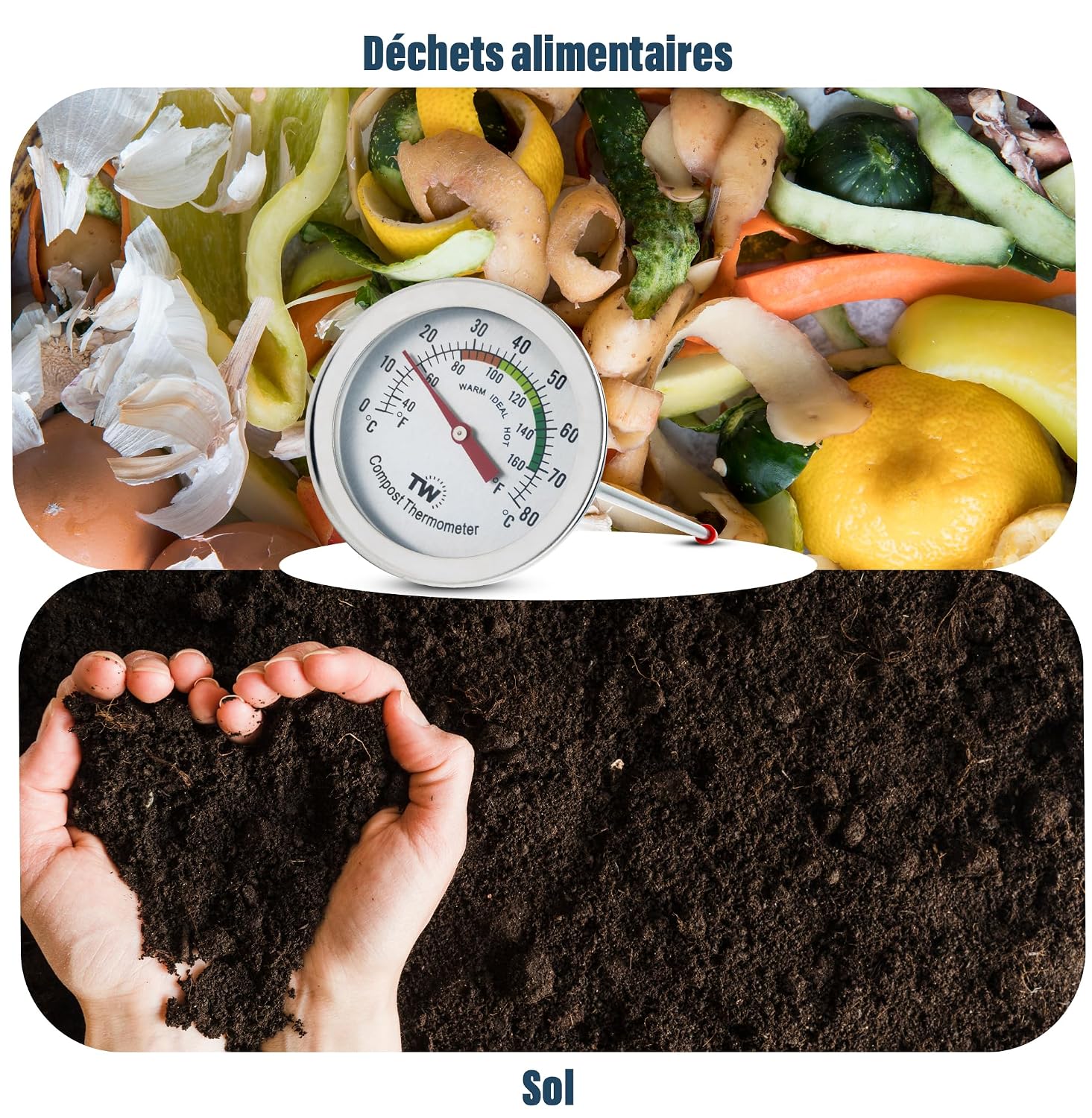 Thermomètre à compost entre un tas de déchets alimentaires et des mains tenant du terreau noir