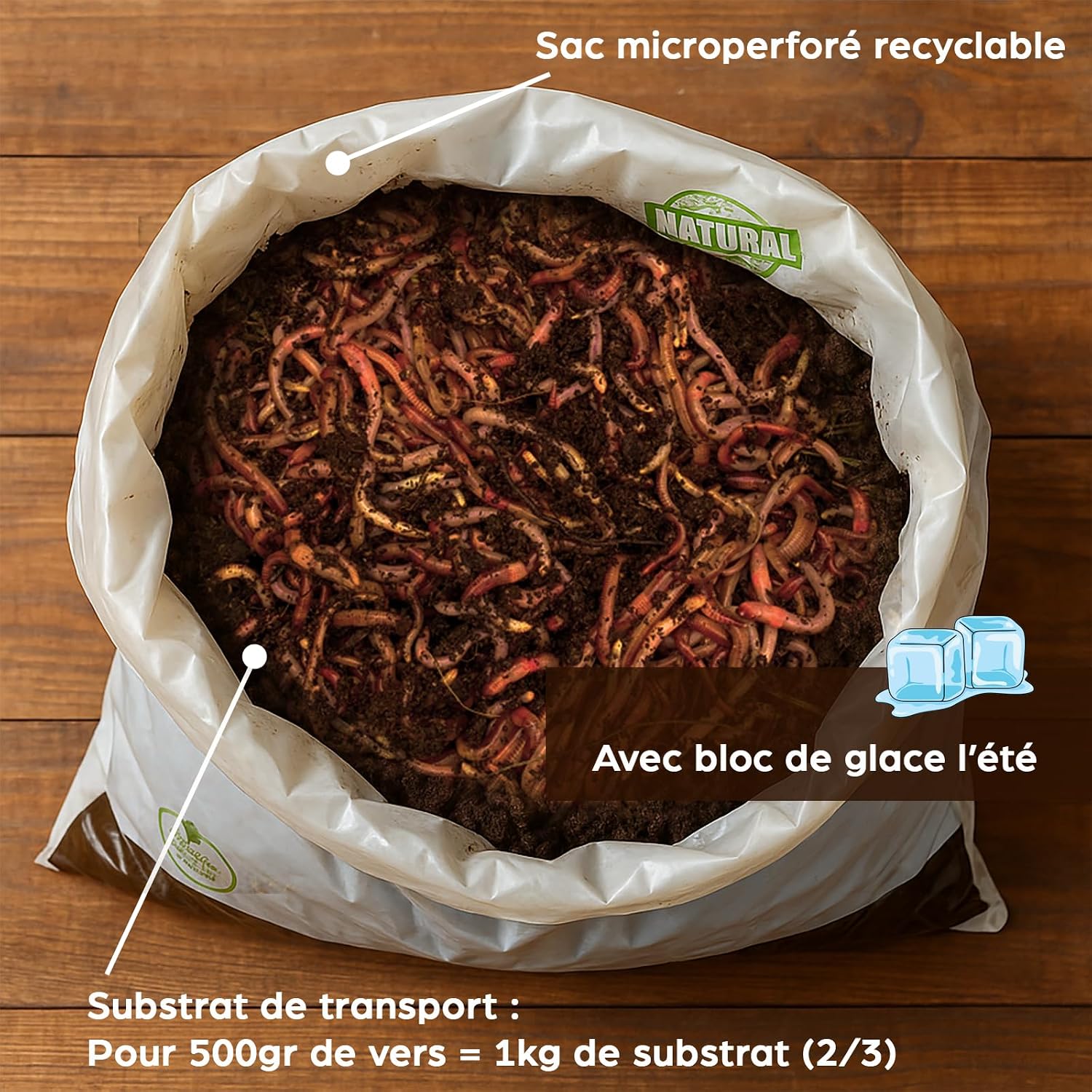Sac microperforé de vers de compost avec leur substrat de transport et un bloc de glace lété