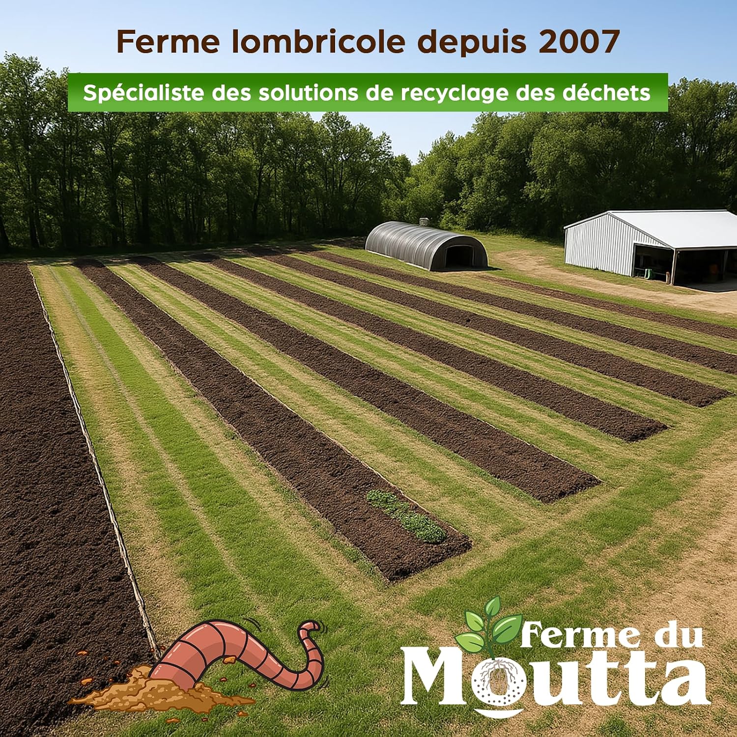 Vue aérienne de la ferme lombricole Moutta en activité depuis 2007, avec ses rangs de terre