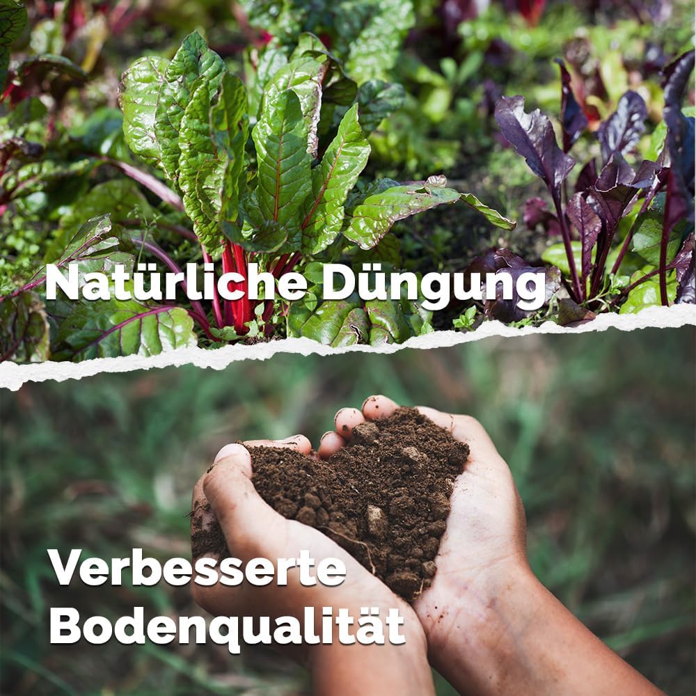 Plantes de potager et mains tenant de la terre, avec texte allemand sur la fertilisation naturelle