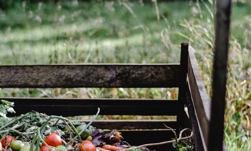 fruits rouges et verts sur banc en bois brun