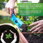 Lombricompost utilisé à la pelle pour rempoter une jeune plante