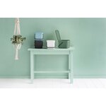 Seaux Brabantia de plusieurs coloris sur une console vert deau, avec une plante suspendue