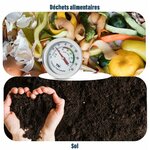Thermomètre à compost entre un tas de déchets alimentaires et des mains tenant du terreau noir