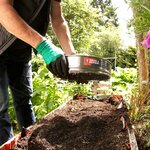 Jardinier ganté tenant le tamis rempli de terre au-dessus dun carré potager