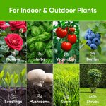 Plantes dintérieur et dextérieur adaptées au lombricompost : fleurs, aromatiques, légumes, baies, gazon