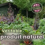 Potager fleuri avec le texte « Véritable produit naturel » et la mention micro-organismes