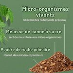 Composition de lactivateur : micro-organismes vivants, mélasse de canne à sucre et poudre de roche