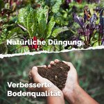Plantes de potager et mains tenant de la terre, avec texte allemand sur la fertilisation naturelle