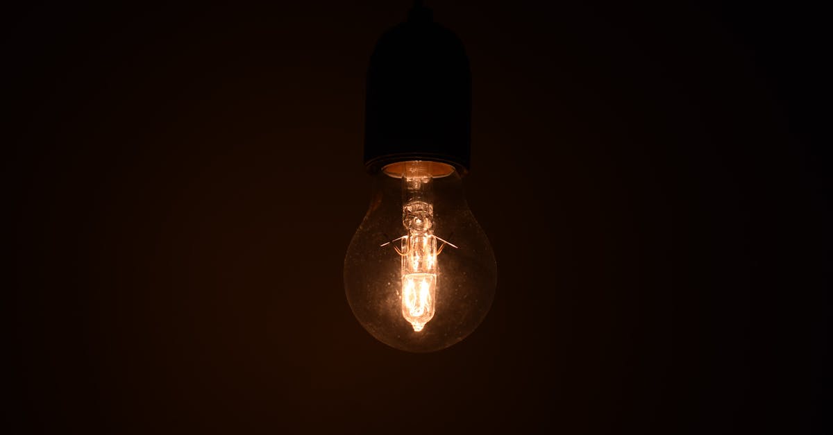 turned on light bulb