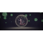 61oSfkPw41L._SL1500_