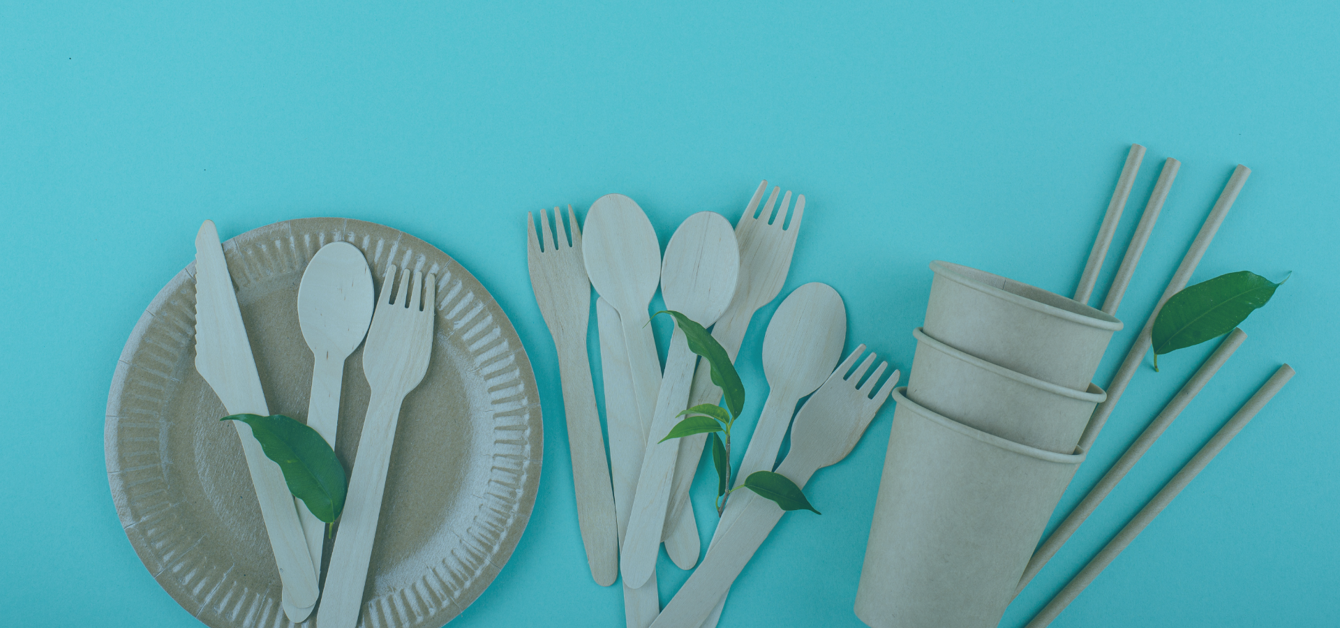 the ultimate guide to sustainable living eco friendly practices for every lifestyle