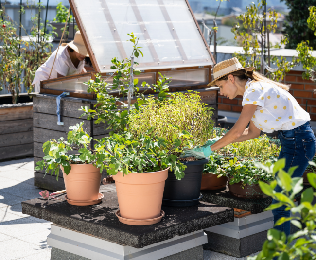 green gardening and urban farming