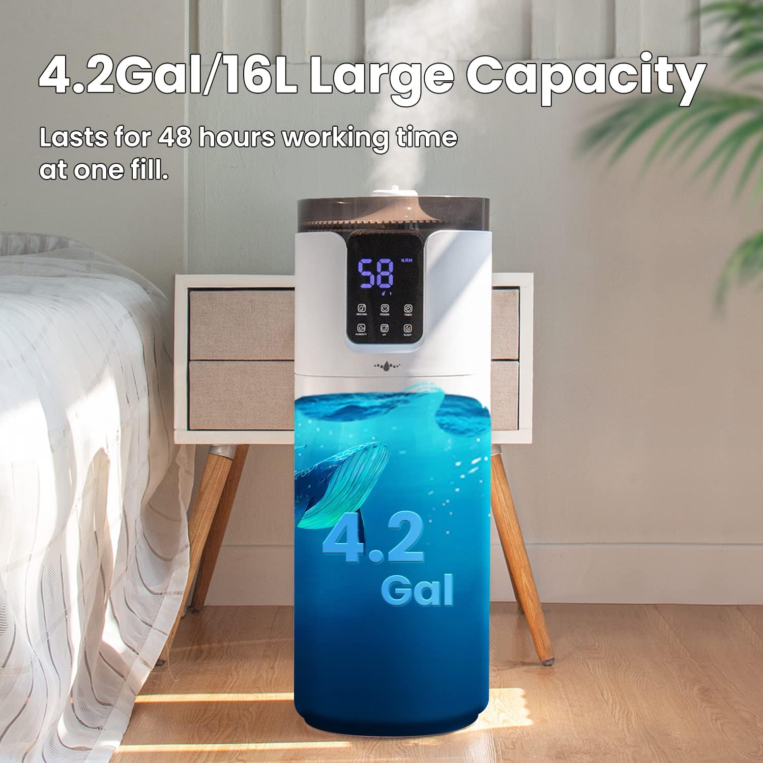 71Xec8ibwkL._AC_SL1500_